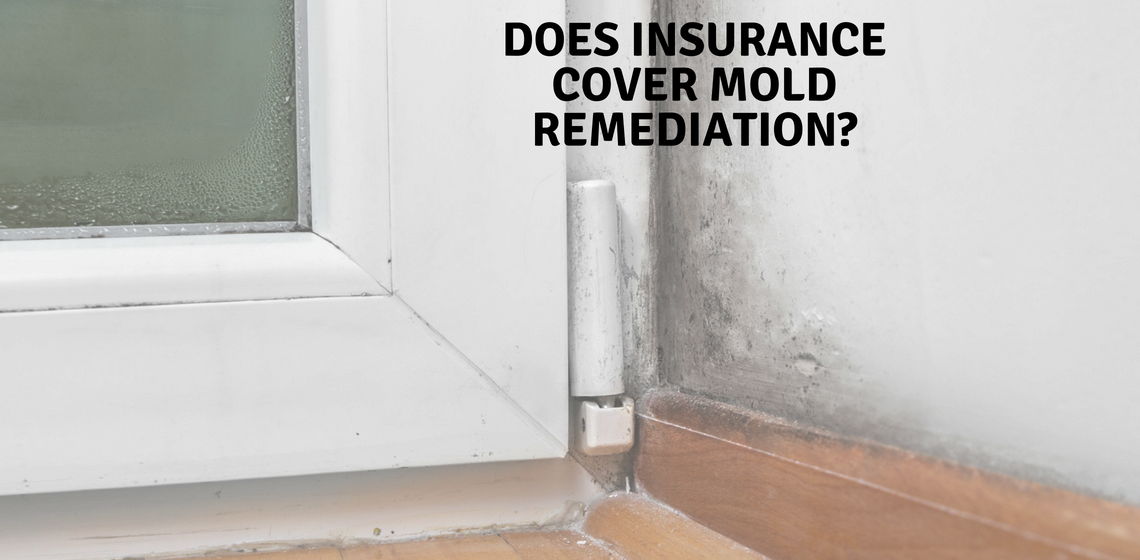 When Is Mold Remediation Covered By Insurance RMR Solutions LLC   Mold And Insurance Blog Image 